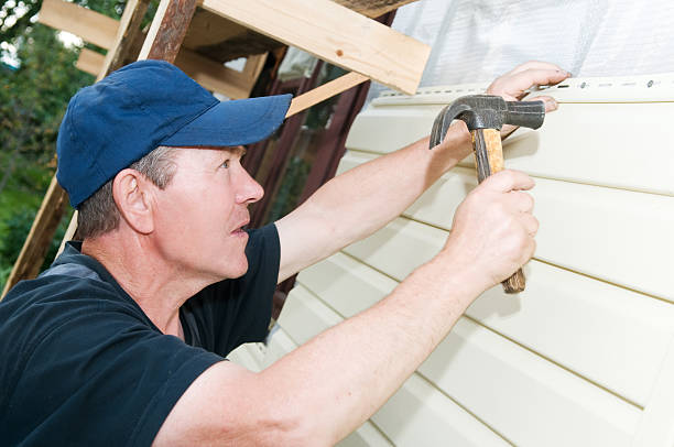 Best Vinyl Siding Installation  in Lukachukai, AZ